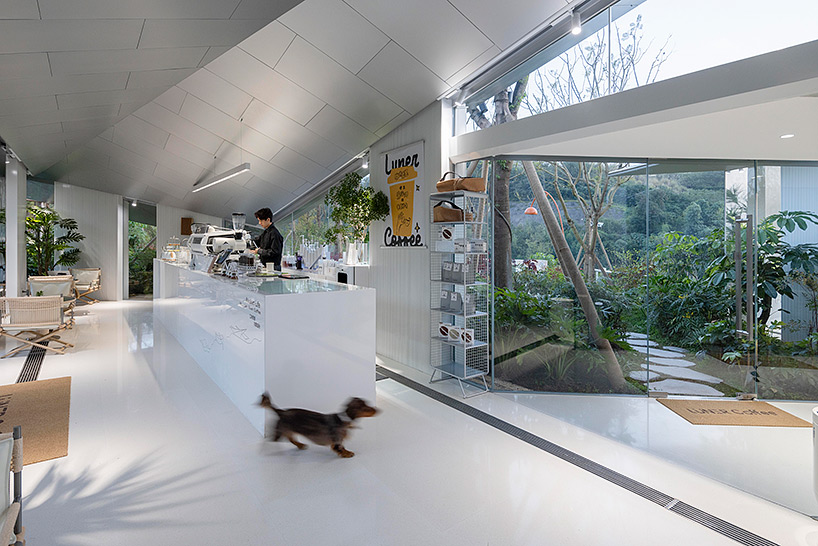 chongqing luxerivers cafe 7