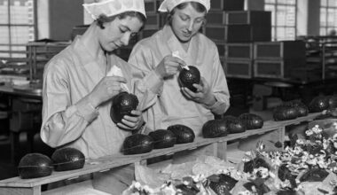 Reform of the skills system cannot be stuck in nostalgia for Britain’s past