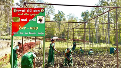 Union Budget 2026: ‘SHE-Marts’ to empower more women become lakhpati didis