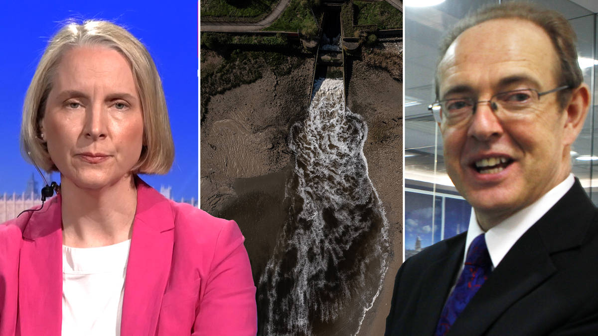 'Strip his knighthood': Minister backs review of ex-Environment Agency chief's honour over toxic water scandal
