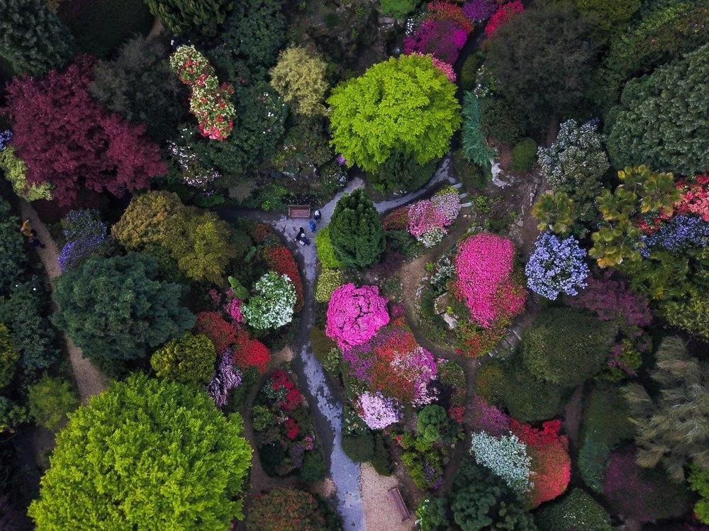 a birds eye view of the rock garden at Leonardslee Gardens