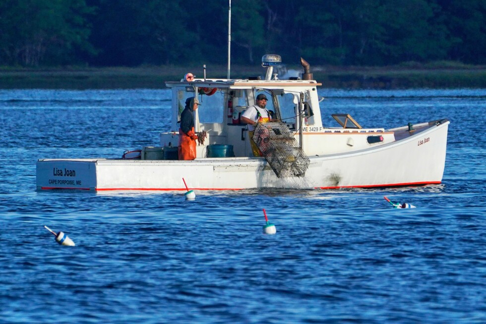 Many factors go into what makes seafood 'sustainable'