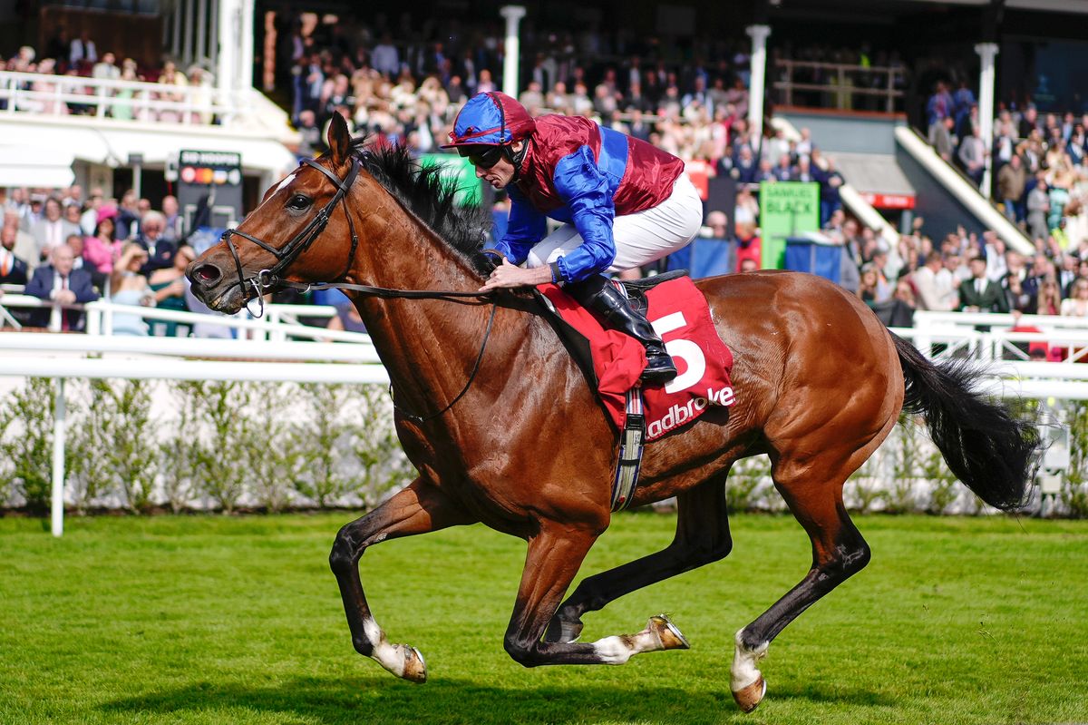 Ryan Moore and Jan Brueghel winning the Ladbrokes Ormonde Stakes on Ladies Day at the 2026 Boodles Chester May Festival at Chester Racecourse on Thursday, May 7 2026