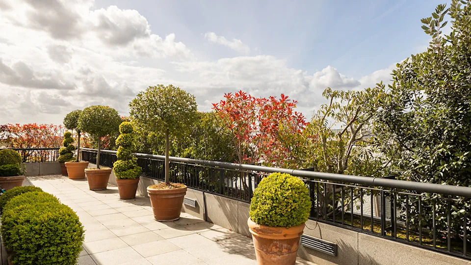 Carlton Gardens penthouse rooftop terrace