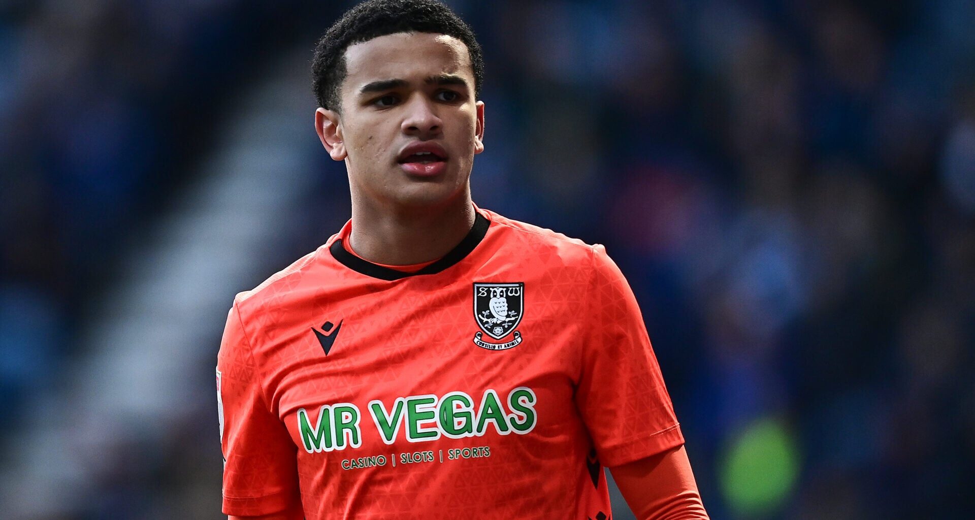 Pierce Charles contract talks opened as Danny Rohl wants Sheffield Wednesday stopper at Rangers