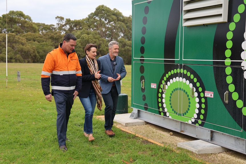 Three people walk past a community battery painted with green artwork.