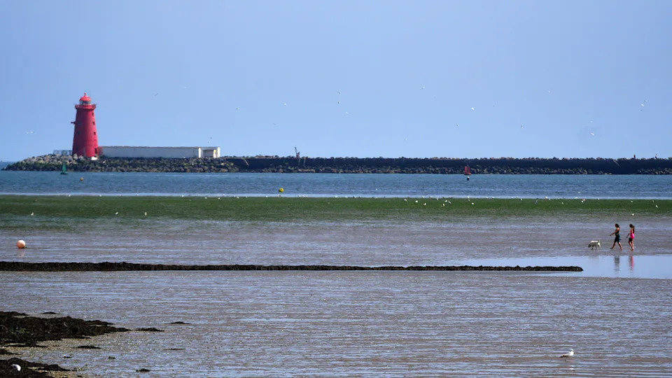 A red lighthouse stands at the end of a long breakwater, stretching across a calm blue sea, while two people walk a dog across the shallow tidal flats in the foreground.