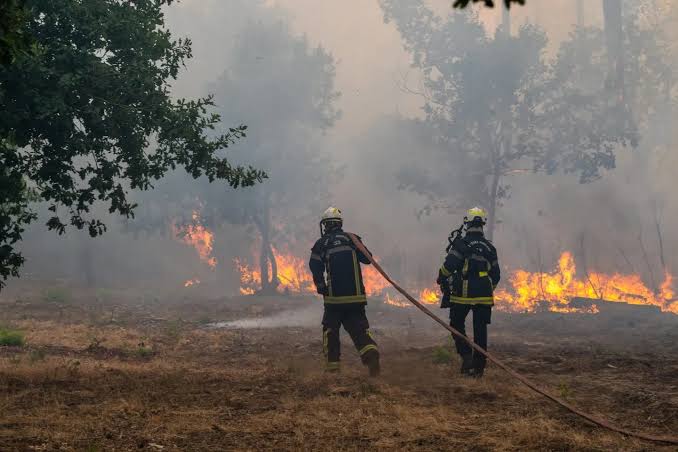 How is Germany helping France battle its historic wildfire crisis?