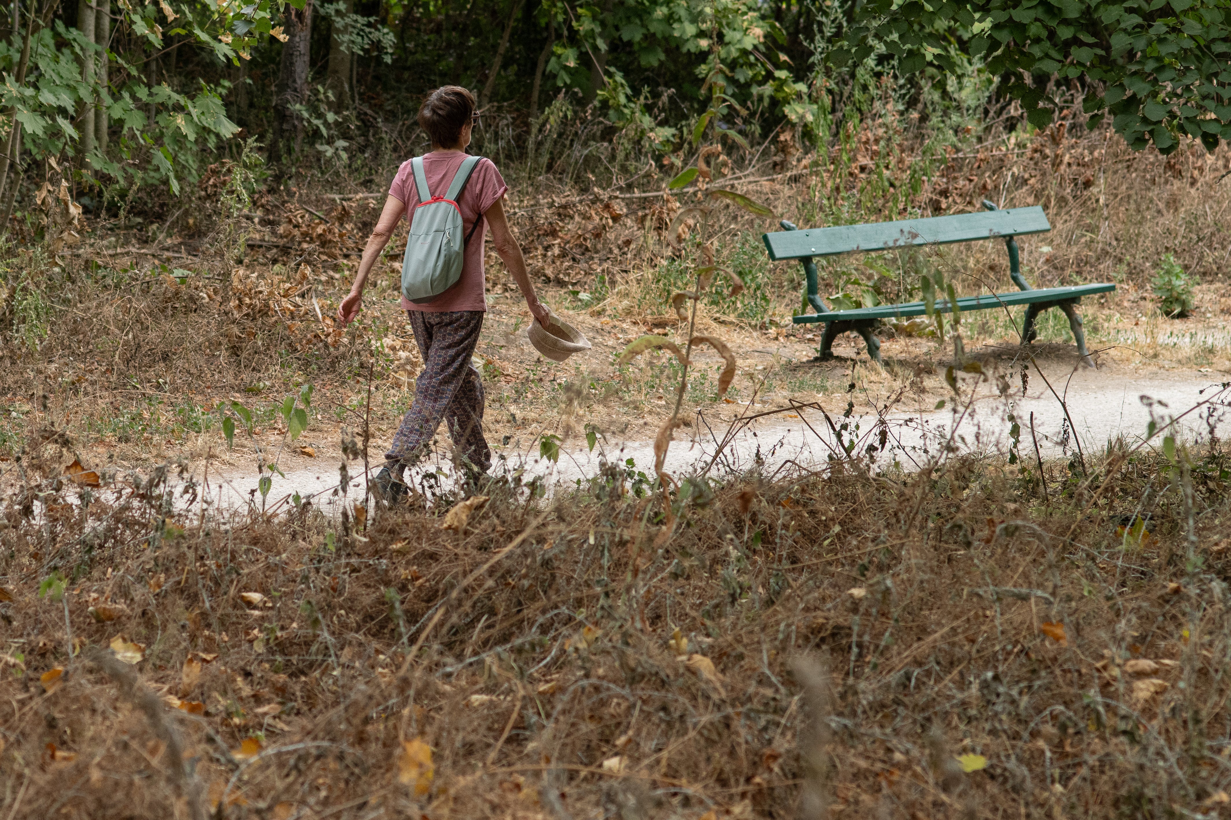 The quality of a walk is more important than the frequency, experts say