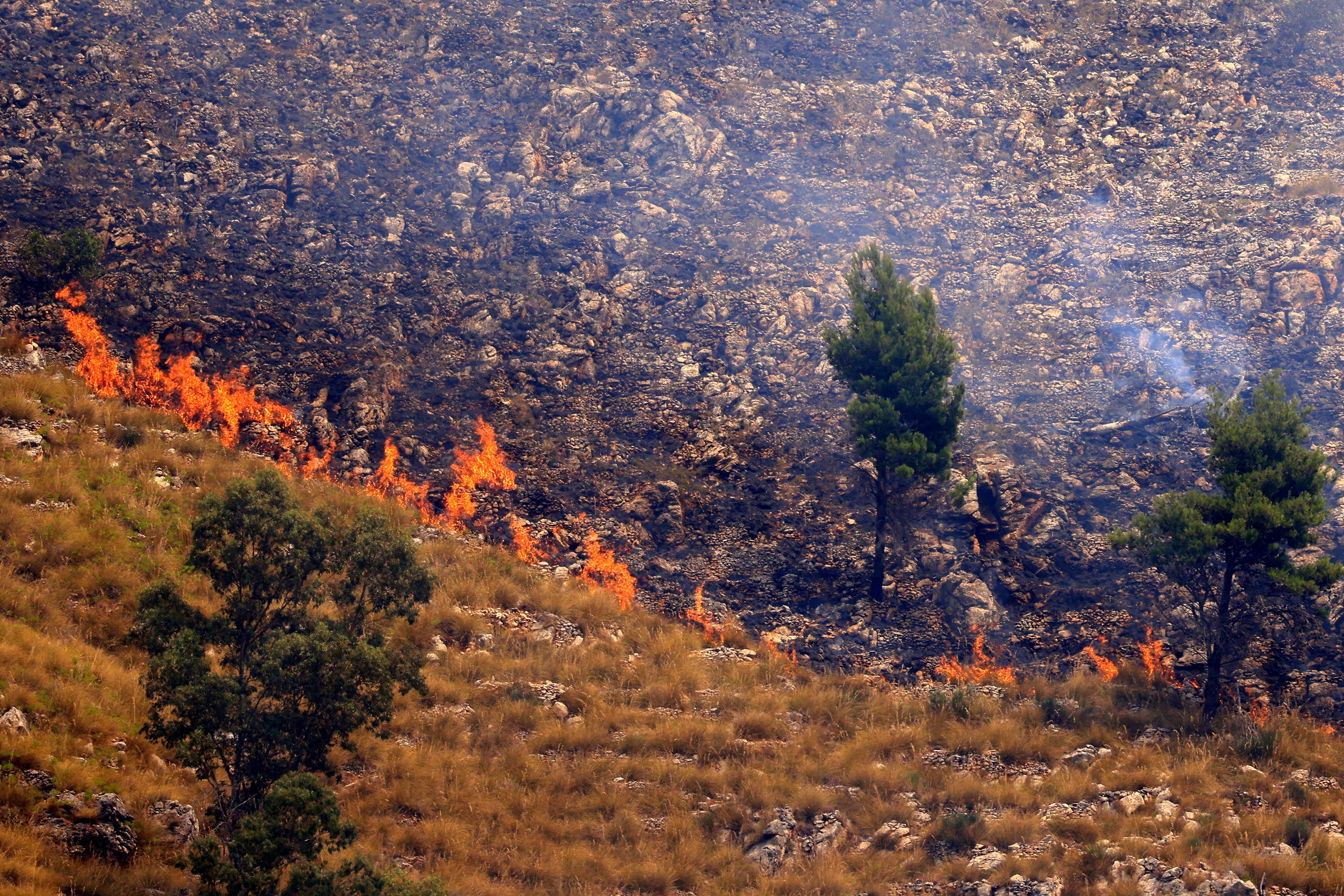 A wildfire in Sagana in the territory of Monreale, Sicily