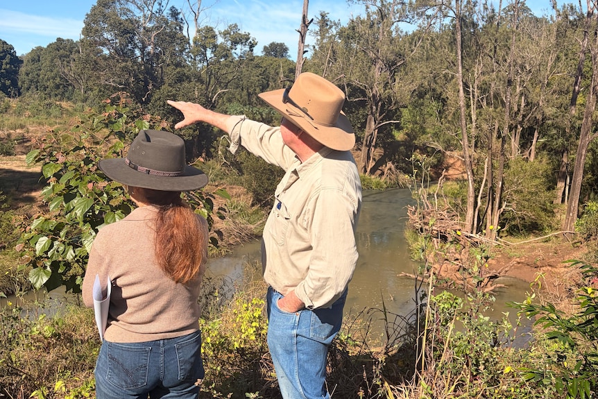 A man and a woman look out over a creek bank at new tree planting to help reduce flood damage