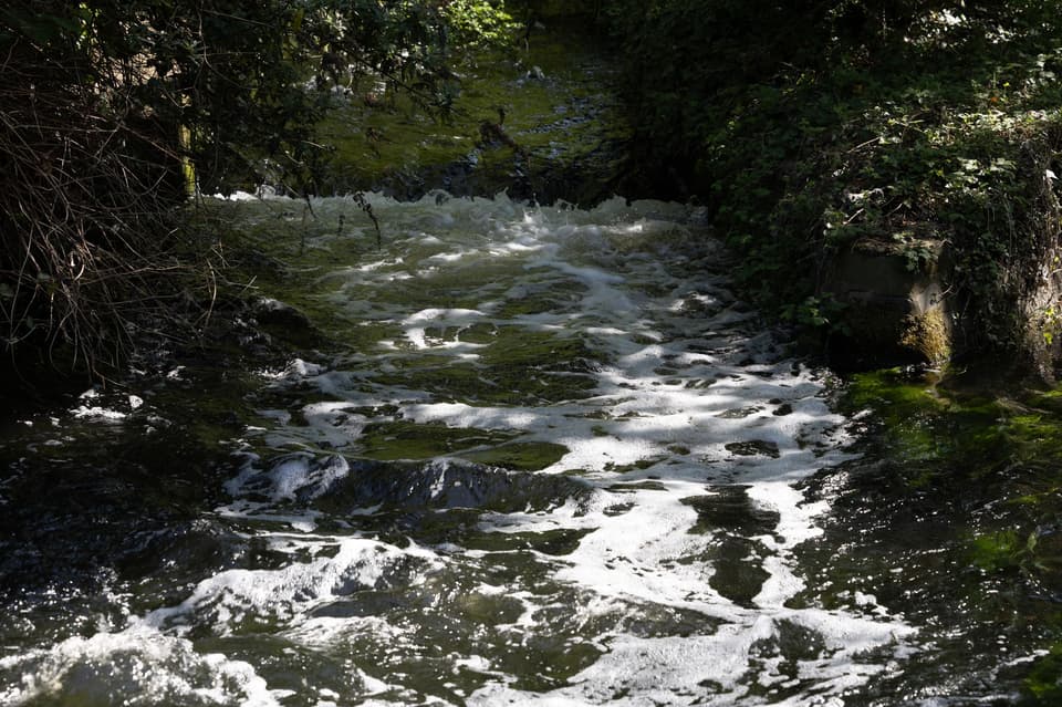 <p>The Wandle is a rare 12-mile urban chalk stream flowing from Carshalton to the Thames at Wandsworth </p>