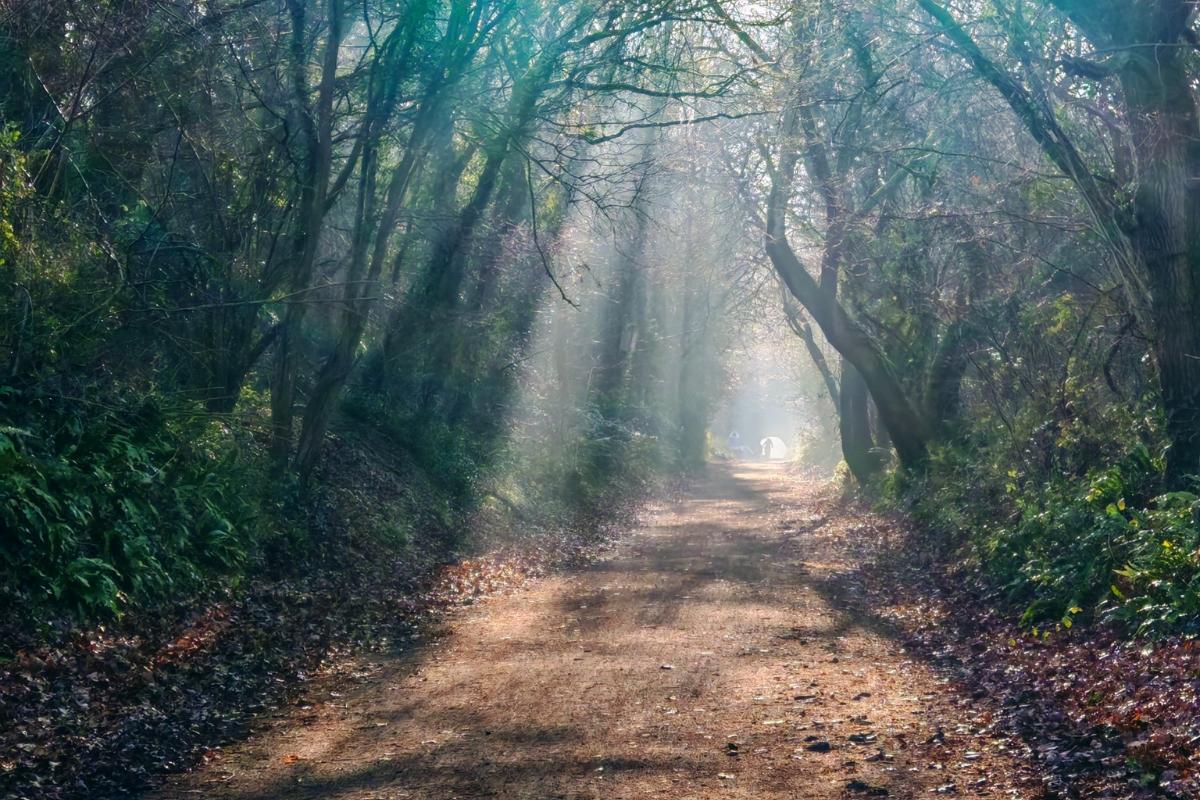 'Stunning' Somerset walk shortlisted to be crowned 'Britain's favourite path'