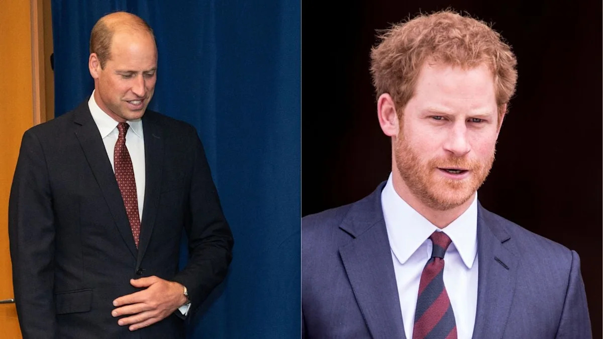 Prince William’s Warning to Harry About Meghan Resurfaces as Historian Says He Was ‘Right’