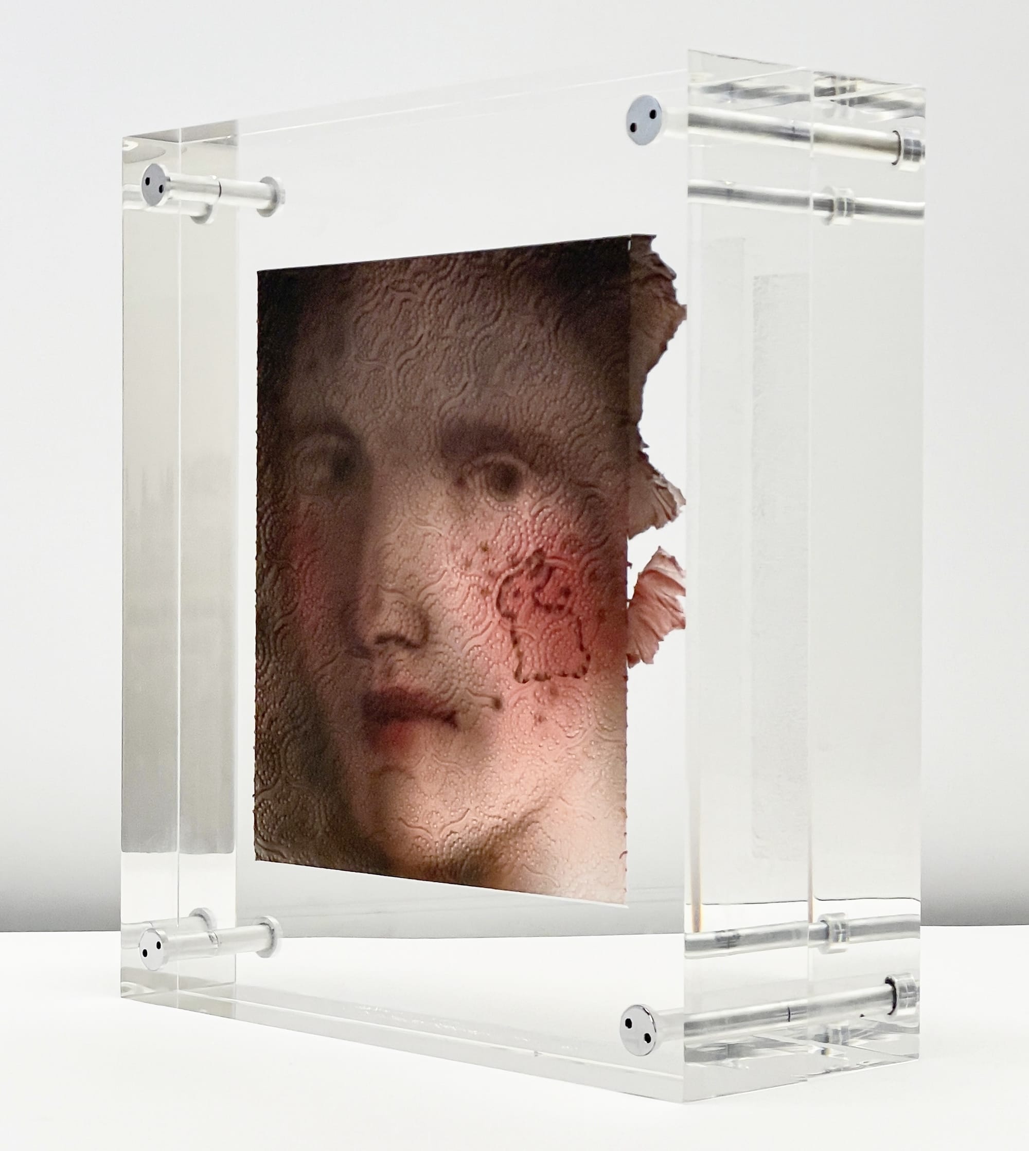 a painting of a man's face with a mark in the shape of a rabbit on his cheek, inspired by a Renaissance portrait, on a sheet of paper towel that is encased between two thick pieces of acrylic