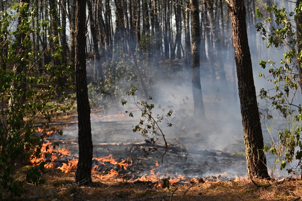 Europe wildfires: 2 firefighters die in Greece as France battles blaze 4 times the size of Paris