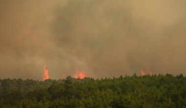 Firefighters battle huge Spanish wildfire during heat wave