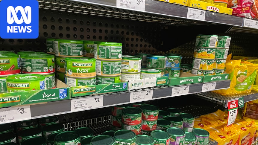 Can you eat too much tinned tuna?