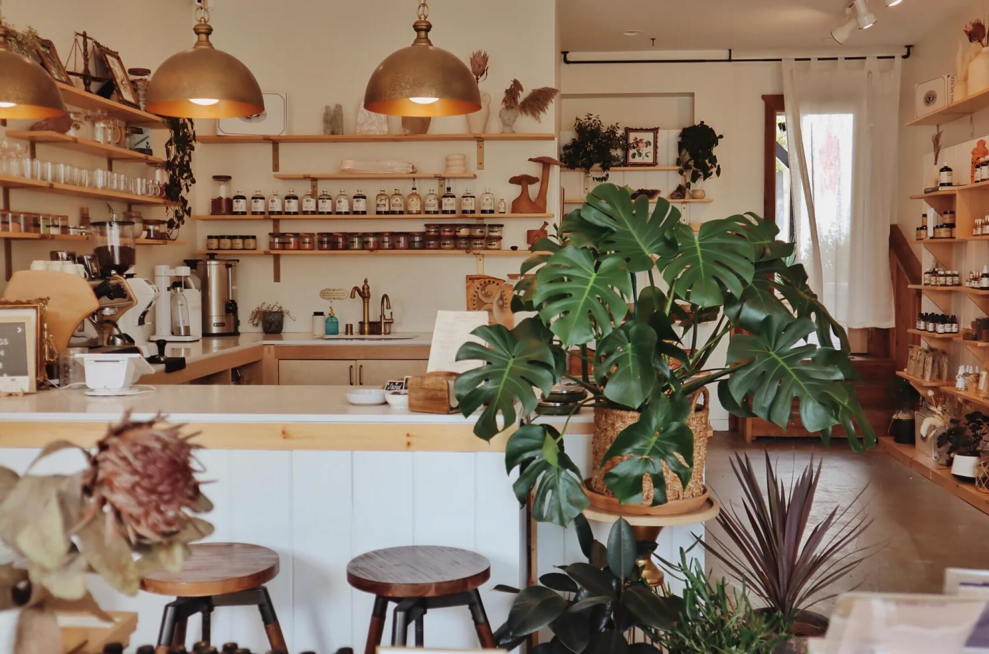 Anima Mundi Apothecary.