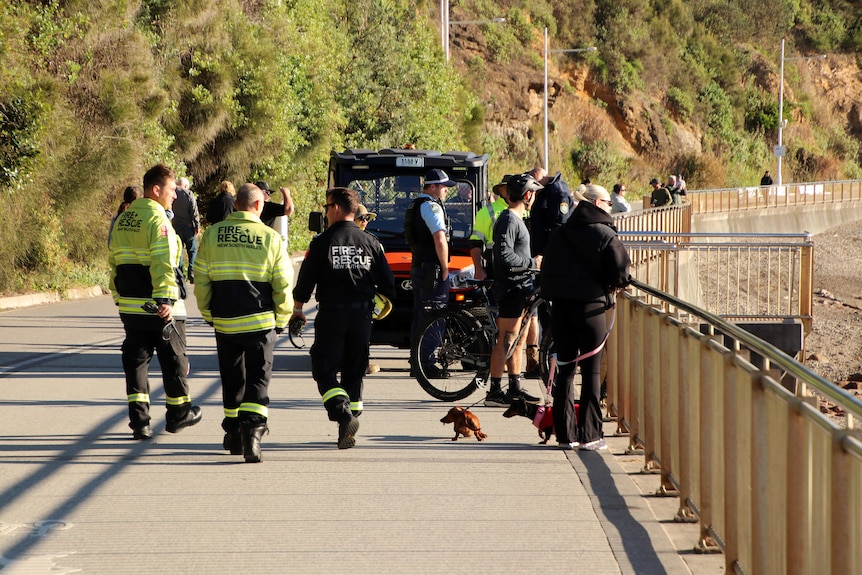 A group of fire and rescue and police officers in uniform stand next to a buggy on a shared pathway.