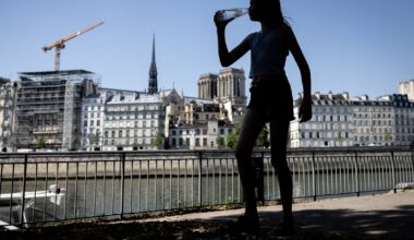 France records more than 7 300 excess deaths during heatwaves
