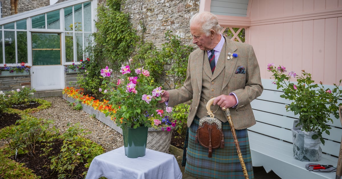 King plants royal rose as he begins summer break in Scotland – The Irish News