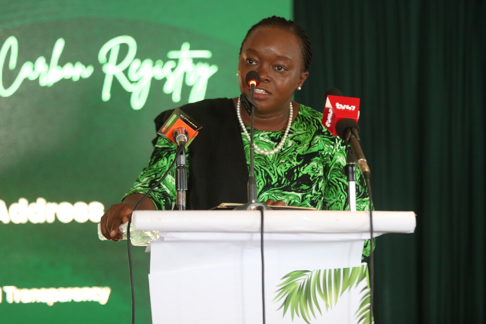 Kenya caps carbon credit exports in bid to protect its own climate targets