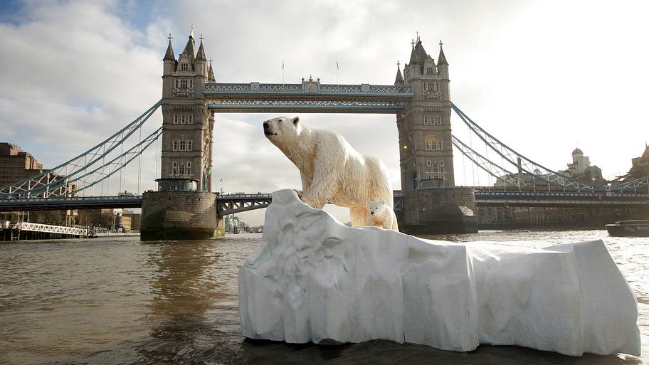 The Polar Bear Once Kept at the Tower of London