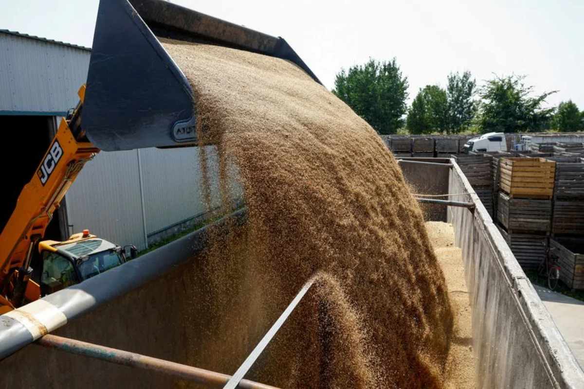 Analysis-Wheat buyers brace for higher costs as Russia-Ukraine war drags on - Ukraine | EUROPESAYS.COM