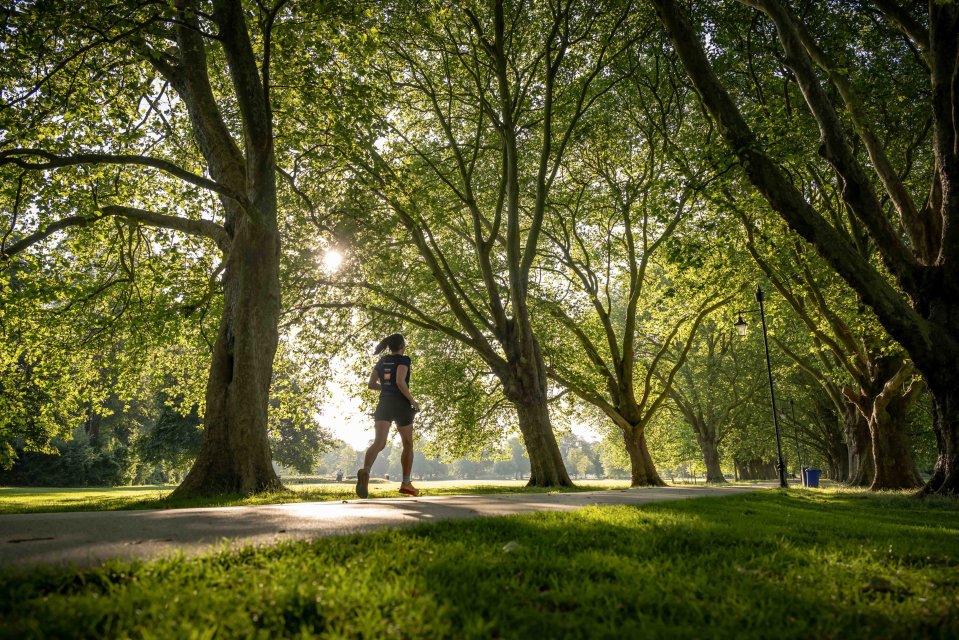 Person jogging on a path through a park.