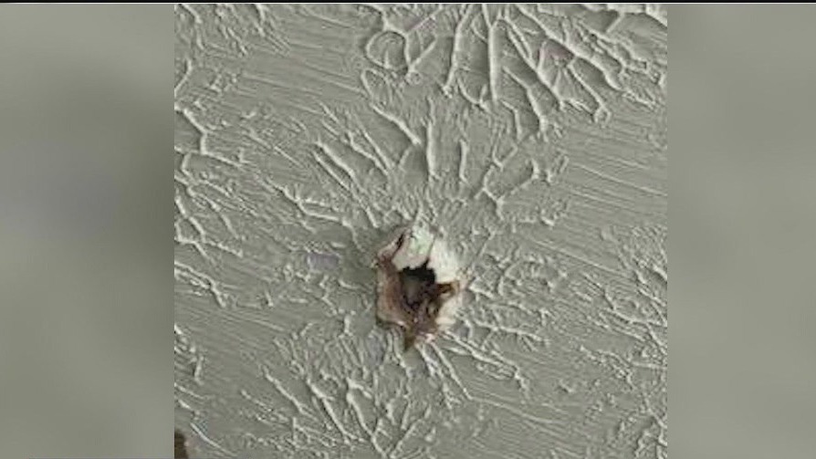 Meteorite believed to have hit Georgia home