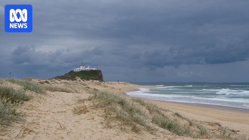 What to expect from 'bomb cyclone' confirmed for Sydney, NSW coast weather