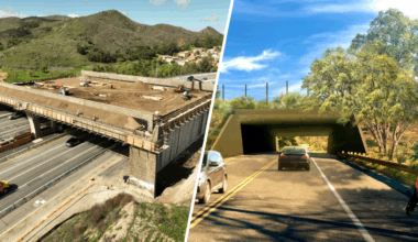 101 Freeway wildlife crossing enters final stage – NBC Los Angeles
