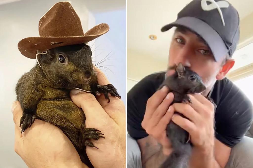Revenge of P'Nut the Squirrel: NY authorities executed furry friend — not euthanized him, lawsuit says