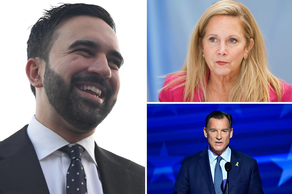 NY Dem Reps. Suozzi, Gillen distance from socialist NYC mayoral nominee Zohran Mamdani