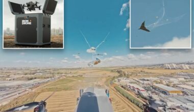 NYC eyes system using net-firing drones to take down 'hostile' drones