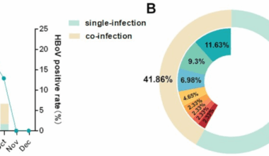 Genetic characteristics of human bocavirus in children with acute respiratory tract infections during 2023 in Beijing, China | Virology Journal