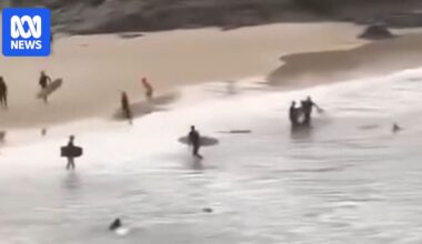 Lifesaver says victim kicked shark during attack at Cabarita