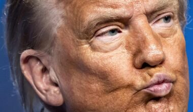 How Trump learned to stop worrying and love NATO – POLITICO
