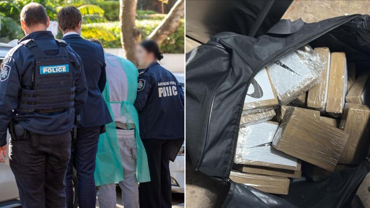 Police raid home in Sydney’s upmarket Double Bay after swapping out bag allegedly filled with cocaine worth millions