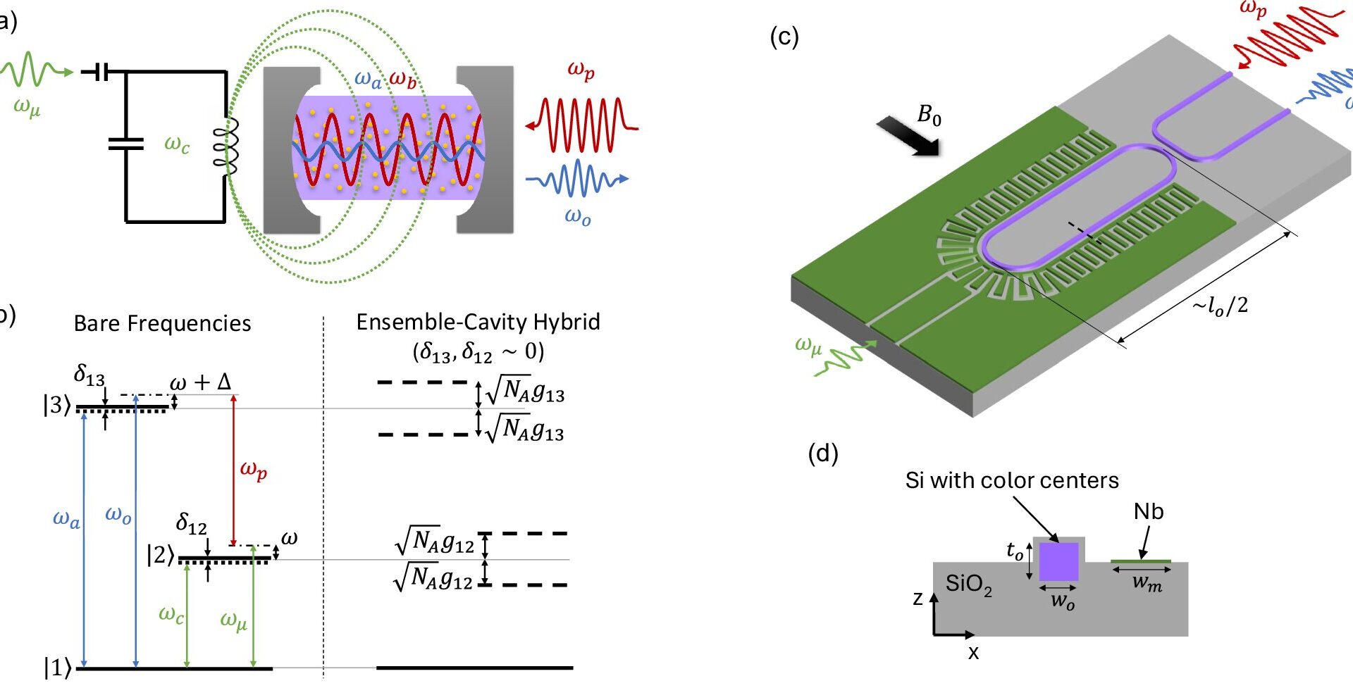 Scientists propose blueprint for 'universal translator' in quantum networks