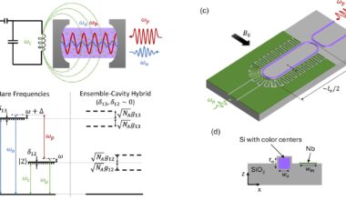 Scientists propose blueprint for 'universal translator' in quantum networks