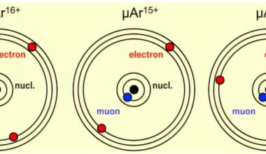 Highly charged muonic ions observed in gas-phase experiment for first time