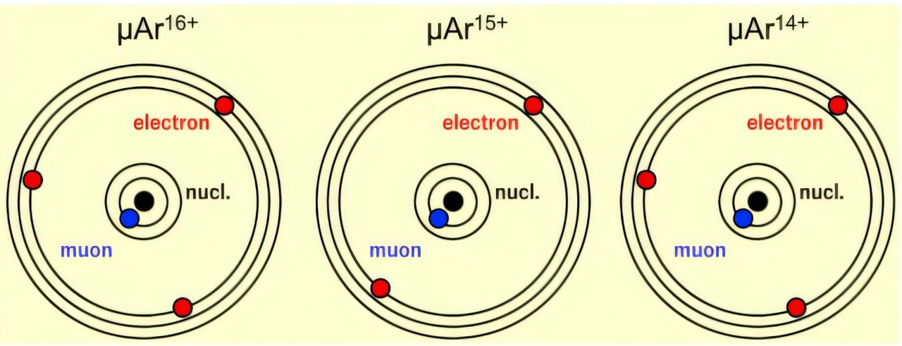 Highly charged muonic ions observed in gas-phase experiment for first time