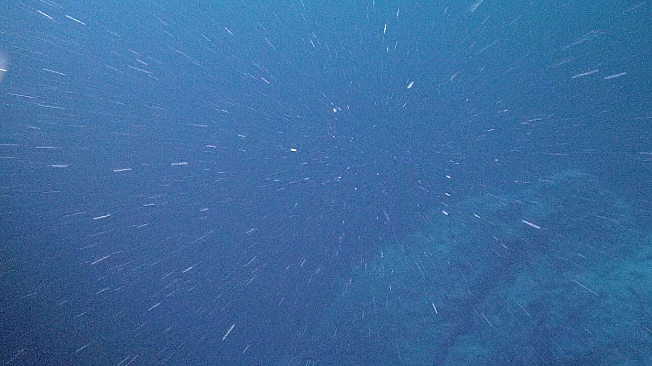 New study uncovers surprising physics of 'marine snow'