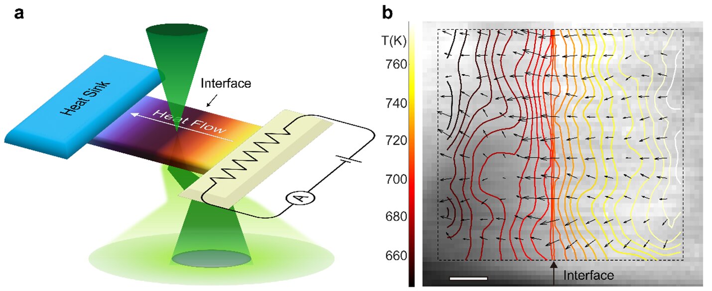 Phonon-mediated heat transport across materials visualized at the atomic level