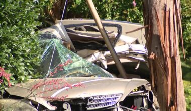 Driver killed in crash north of Addison, police investigating