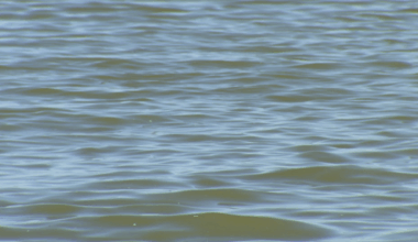 Man drowns at Joe Pool Lake in Grand Prairie