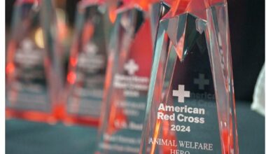 Red Cross seeks community submissions for 23rd Annual Real Heroes Awards