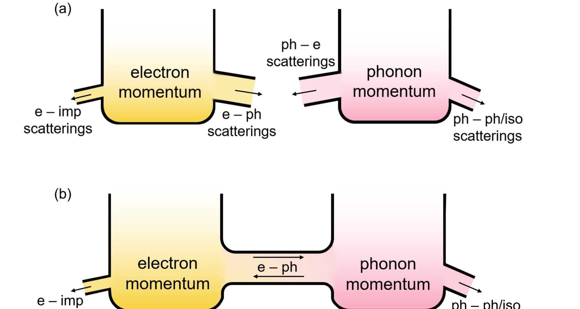 Coupled electrons and phonons may flow like water in 2D semiconductors